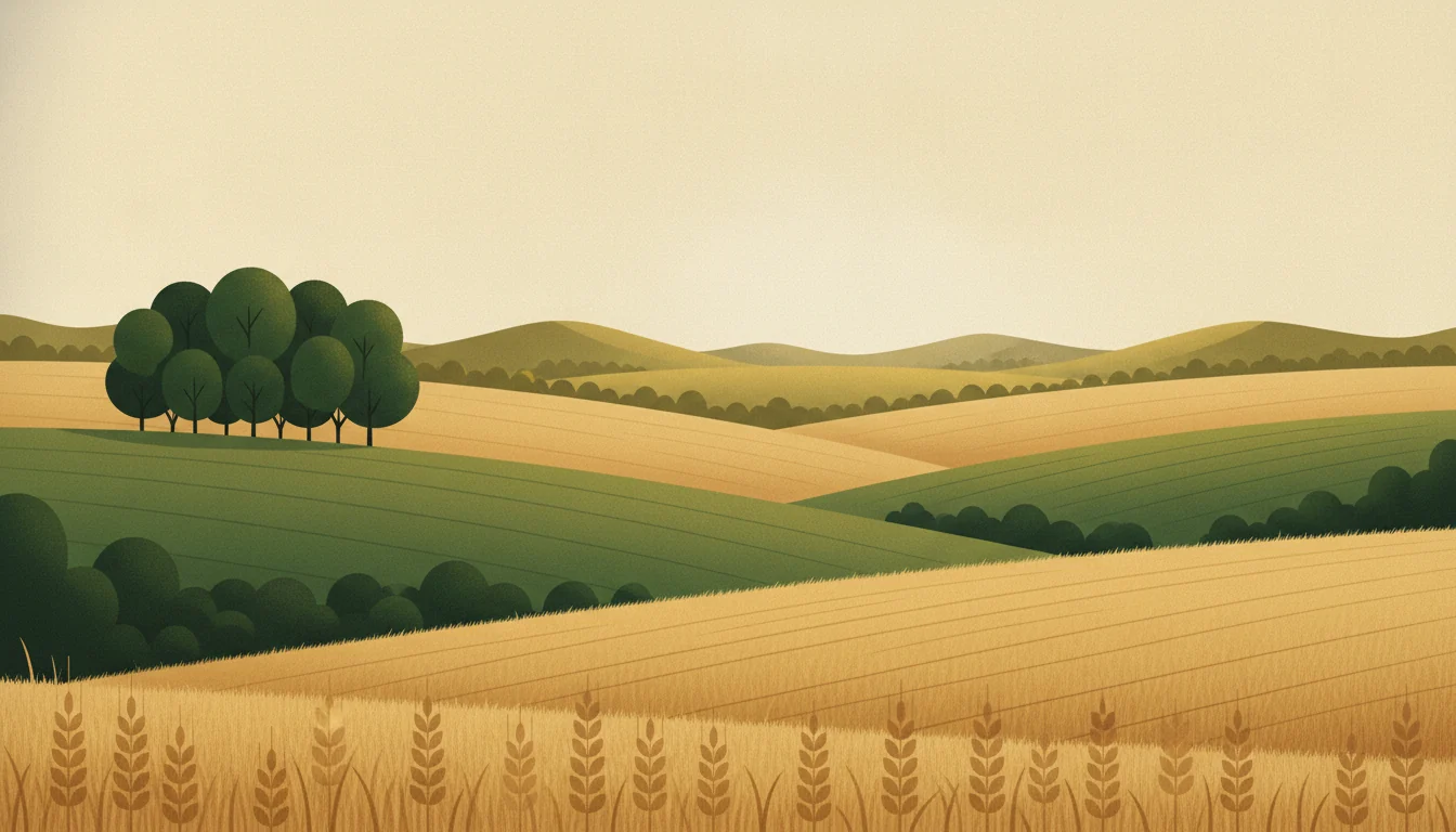 Ilustrace české krajiny – zlatá pole, zelené louky a remízky